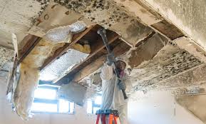 Best Residential Mold Inspection & Testing in Wautoma, WI